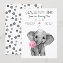 赤ちゃんゾウの黒と白の誕生日