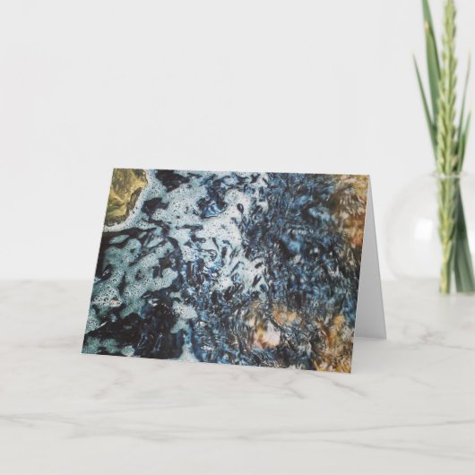 「赤ちゃんナマズの食事」誕生日カード カード (正面)