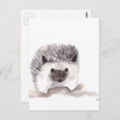 赤ちゃんハリネズミ ポストカード (正面/裏面)