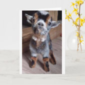 赤ちゃんヤギに応援メッセージを送ろう 「早く治してね」カード カード (黄色い花)