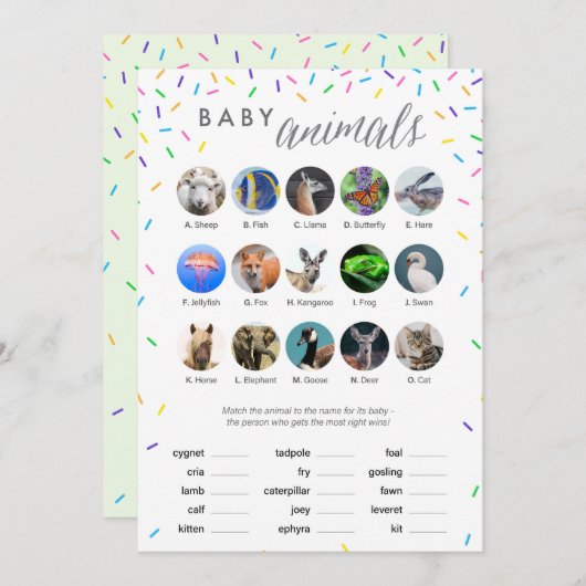 赤ちゃん動物シャワーゲームカード – 散水主題設定 プログラム (正面/裏面)