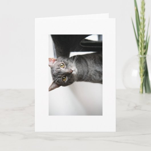 赤ちゃん虫 カード (正面)