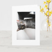 赤ちゃん虫 カード (黄色い花)