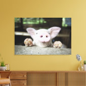 赤ちゃん豚ペン、豚 キャンバスプリント (インサイチュ (リビング))
