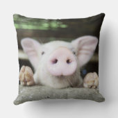 赤ちゃん豚ペン、豚 クッション (裏面)