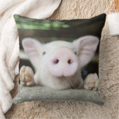 赤ちゃん豚ペン、豚 クッション (ブランケット)