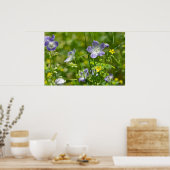 赤ちゃん青い目と黄色のオキザリス野花のポスター ポスター (キッチン)