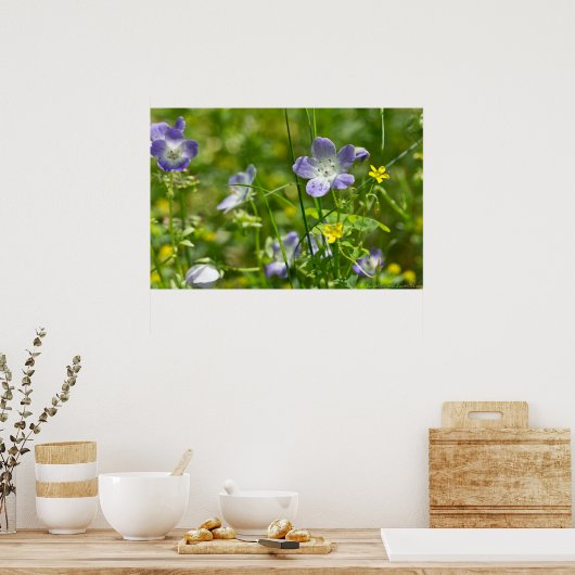 赤ちゃん青い目と黄色のオキザリス野花のポスター ポスター (キッチン)