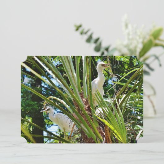 赤ちゃん鳥 招待状 (スタンド正面)