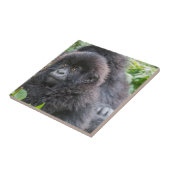 赤ちゃん マウンテンゴリラ タイル (側面)