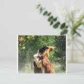 赤とタンゴ遊は ポストカード (スタンド正面)