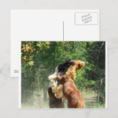 赤とタンゴ遊は ポストカード (正面/裏面)