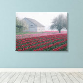 赤とピンクのチューリップが霧の中で一日を迎える キャンバスプリント (インサイチュ (ウッドフロア))