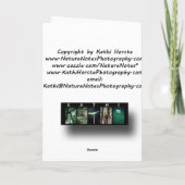 赤とピンクのチューリップグリーティングカード カード (裏面)