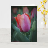 赤とピンクのチューリップグリーティングカード カード (黄色い花)