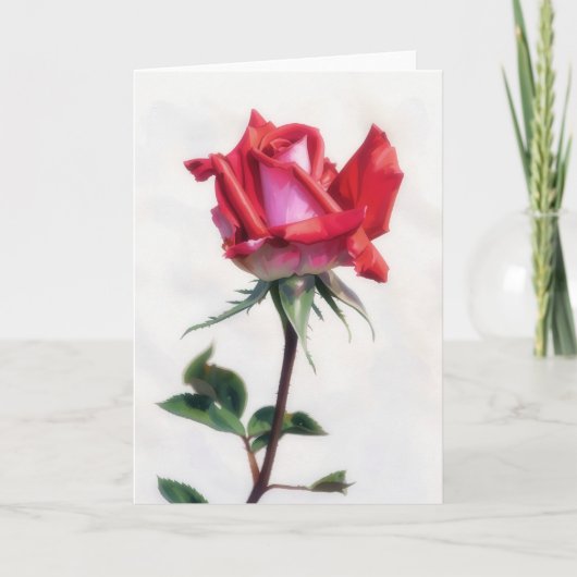 赤とピンクのバラの花のアートノートカード カード (正面)
