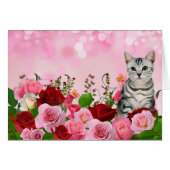 赤とピンクのバラ園とタビー空白の猫 (正面横)