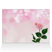 赤とピンクのバラ園とタビー空白の猫 (内部横(上))