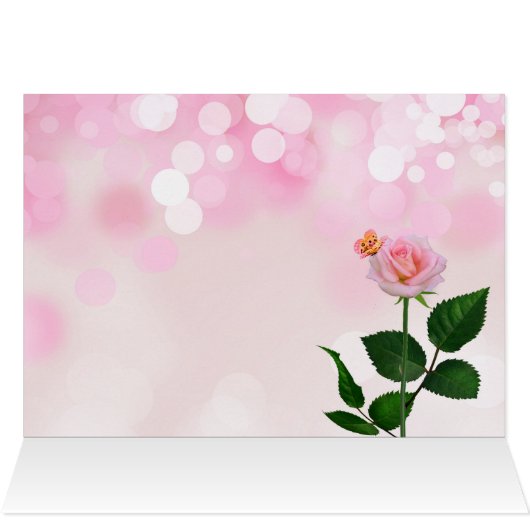 赤とピンクのバラ園とタビー空白の猫 (内部横(上))