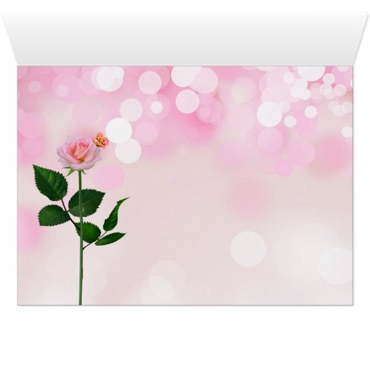 赤とピンクのバラ園とタビー空白の猫 (内部横(下))