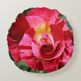 赤とピンクのバラ ラウンドクッション
