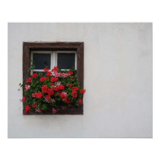 赤とピンクのペラルゴニウム ポスター (正面)