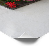 赤とピンクのペラルゴニウム ポスター (コーナー)