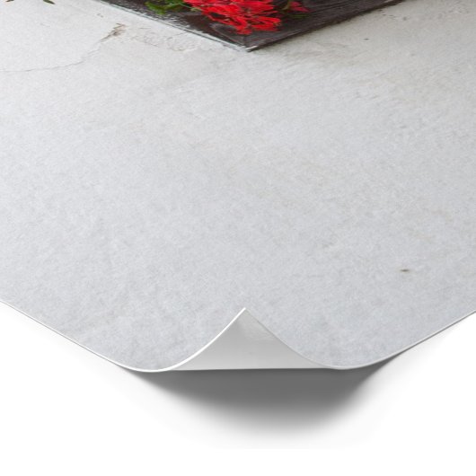 赤とピンクのペラルゴニウム ポスター (角)