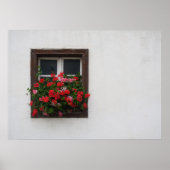 赤とピンクのペラルゴニウム ポスター (正面)