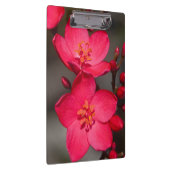 赤とピンクの熱帯フィジーの花 クリップボード (右)