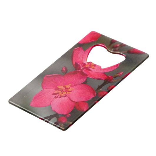 赤とピンクの熱帯フィジーの花 クレジットカード栓抜き (正面アングル)