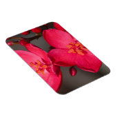 赤とピンクの熱帯フィジーの花 マグネット (右側)