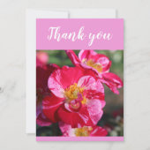 赤とピンクの美しいストライプのバラ花 サンキューカード (正面)