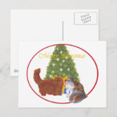 赤と三毛のペルシャ猫 クリスマス (正面/裏面)