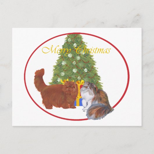 赤と三毛のペルシャ猫 クリスマス (正面)