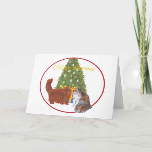 赤と三毛のペルシャ猫 クリスマス (正面)