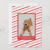 赤と明メリーるいレトロタイポグラフィ写真 シーズンカード (裏面)