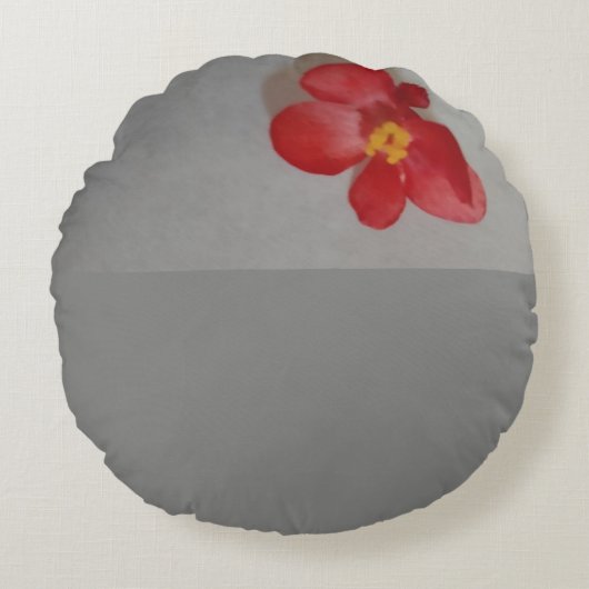 赤と灰色 ラウンドクッション (正面)