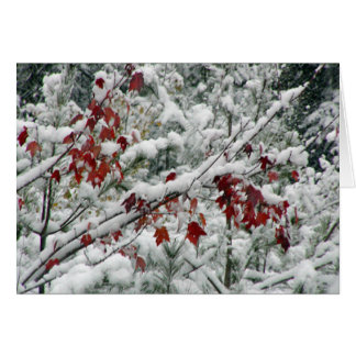 赤と白および全体にわたって雪は何ですか。