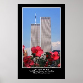 赤と白と青… ポスター