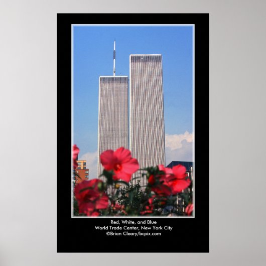 赤と白と青… ポスター (正面)