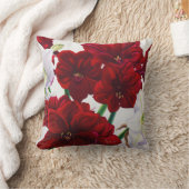 赤と白のアマリリス2008年 クッション (ブランケット)