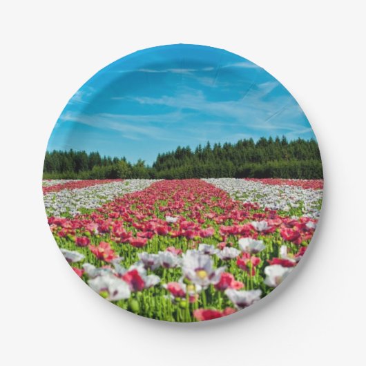 赤と白のケシの花畑 ペーパープレート (正面)