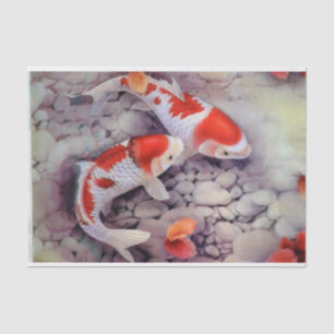 赤と白のコイの魚のいる池 薄葉紙