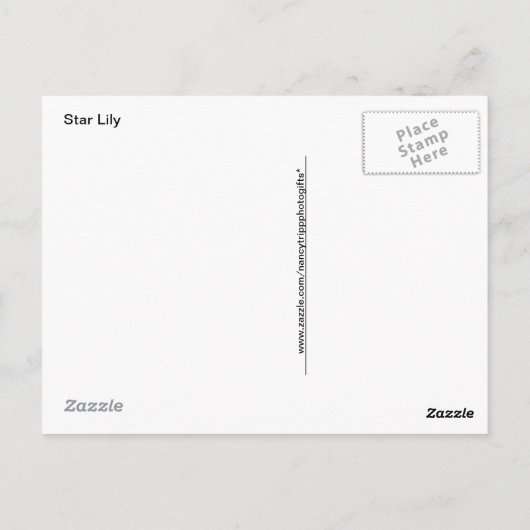 赤と白のスターリリー on グレーの様々な色合い ポストカード (裏面)