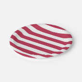 赤と白のストライプ ペーパープレート (アングル)