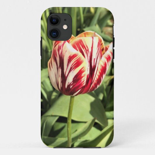 赤と白のチューリップ Case-Mate iPhoneケース (裏面)