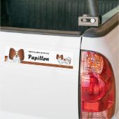 赤と白のパピヨン犬と一緒の旅 バンパーステッカー (トラック上)