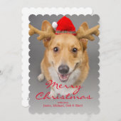 赤と白のペンブロークのウェルシュコーギー犬 シーズンカード (正面/裏面)