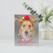 赤と白のペンブロークのウェルシュコーギー犬 シーズンポストカード (スタンド正面)